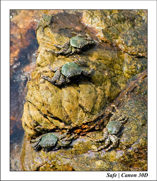 2006 - 07 - Gemia - Cote 03